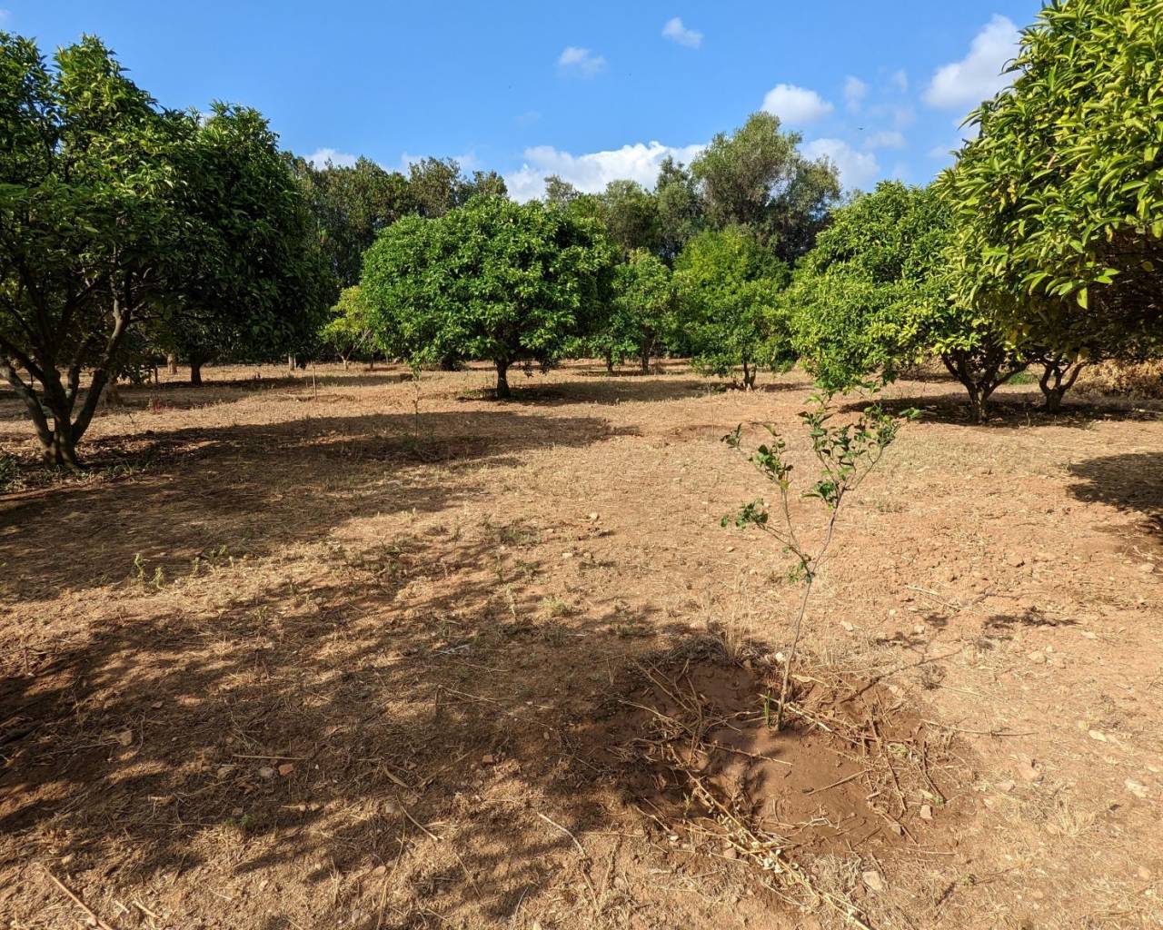 Plot - Resale - Denia - BG-15303