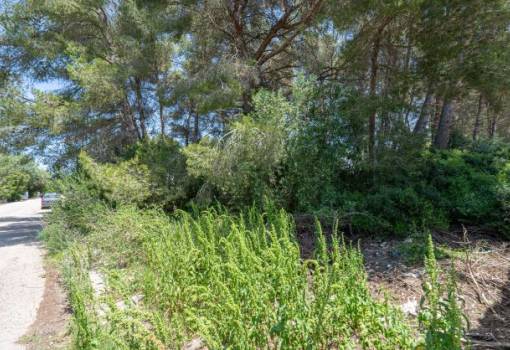 Plot - Resale - Javea - Javea