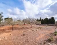 Resale - Farm - Benissa costa