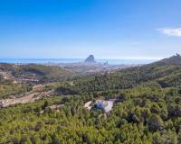 Resale - Farm - Calpe