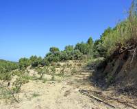 Resale - Plot - Denia - Beniarbeig