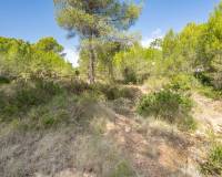 Resale - Plot - Javea - Pinosol