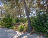 Resale - Plot - Javea