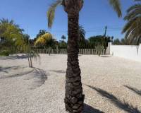 Resale - Villa - Elche
