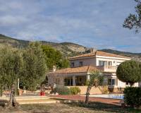 Resale - Villa - Onil - Rural location