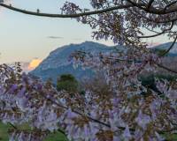 Reventa - Apartment - Denia - Els Molins