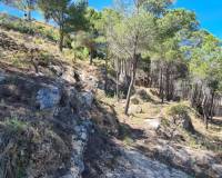 Reventa - Parcela/Terreno - Calpe