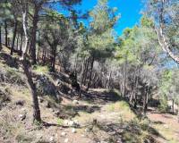 Reventa - Parcela/Terreno - Calpe