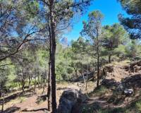 Reventa - Parcela/Terreno - Calpe