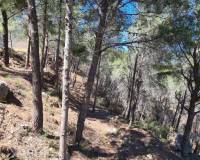 Reventa - Parcela/Terreno - Calpe