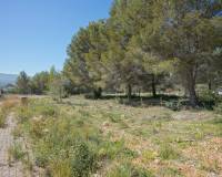 Reventa - Parcela/Terreno - Javea