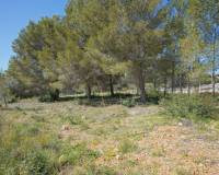 Reventa - Parcela/Terreno - Javea