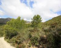 Revente - Terrain - Denia - Pedreguer