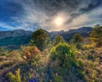 Revente - Terrain - Jalon / Xaló - Jalon/Xalon