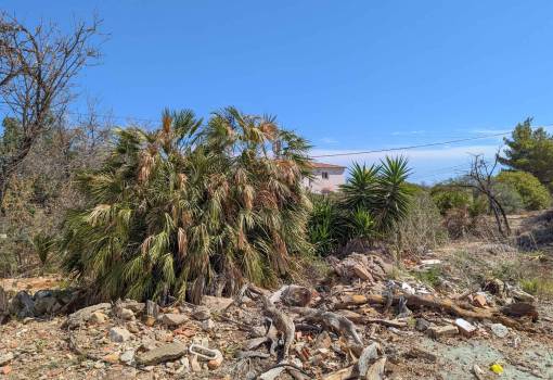 Terrain - Revente - Denia - Corral de Calafat