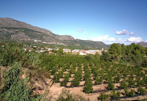 Terrain - Revente - Denia - Orba