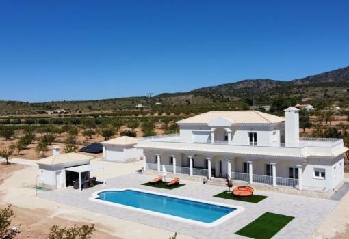 Villa - New Build - Pinoso - Camino Del Prado