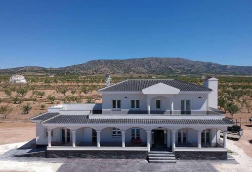 Villa - New Build - Pinoso - Camino Del Prado