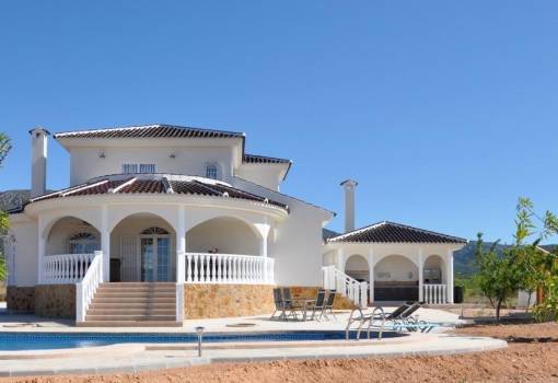 Villa - Nouvelle construction - Pinoso - Campo