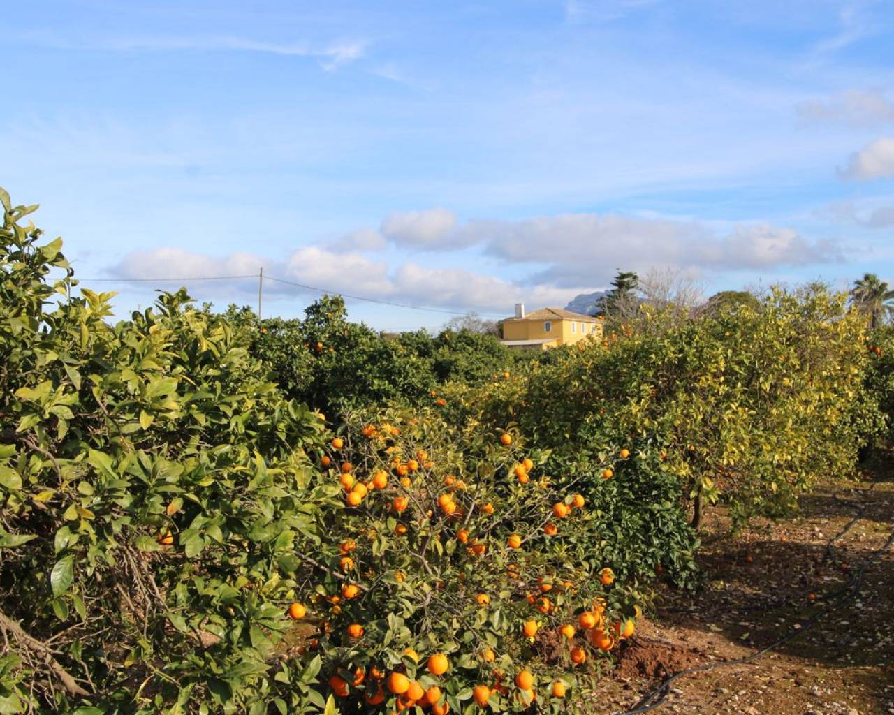 Villa - Resale - Denia - PR-43723