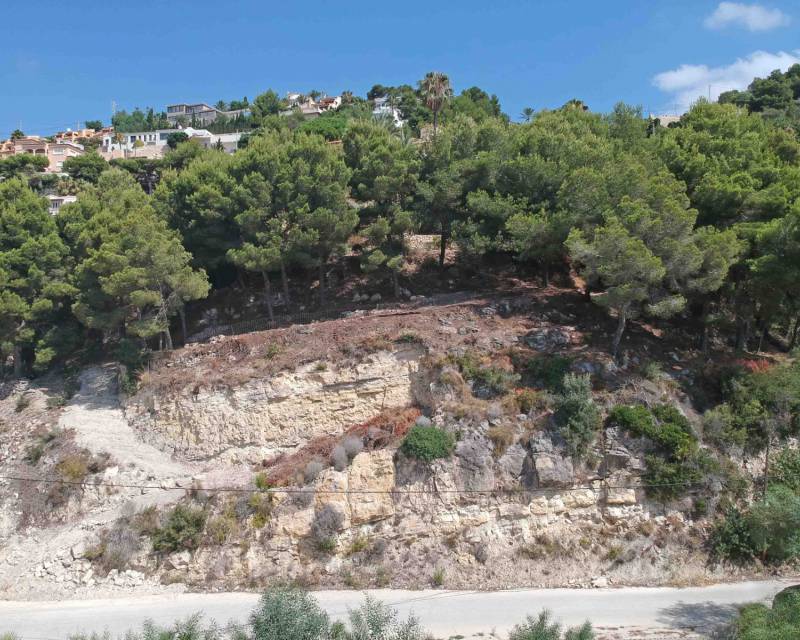 Plot in Moraira