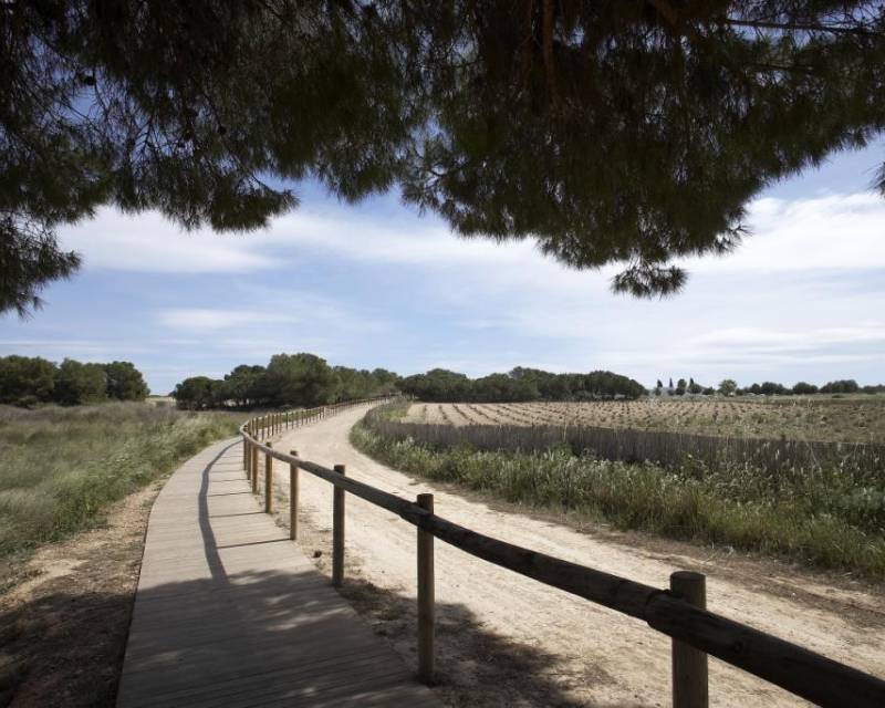 Bungalow in Torrevieja