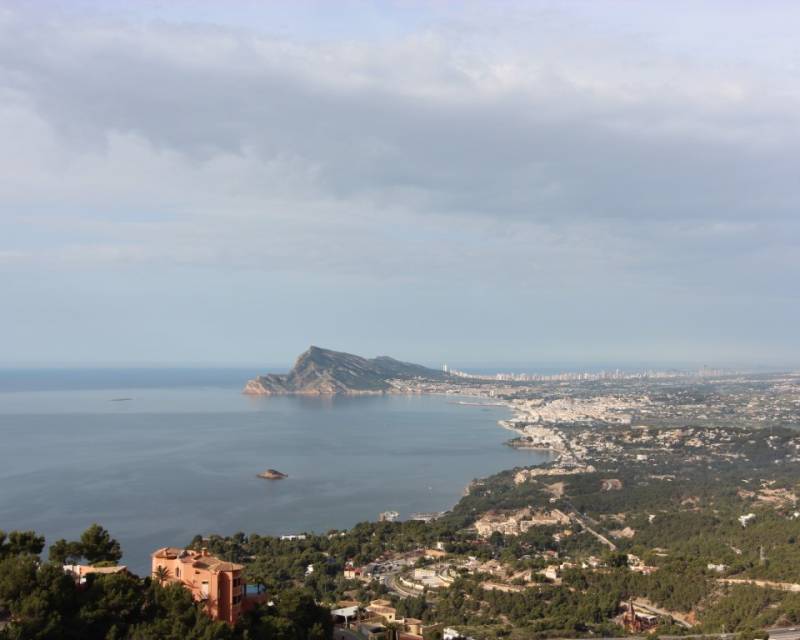 Plot in Altea