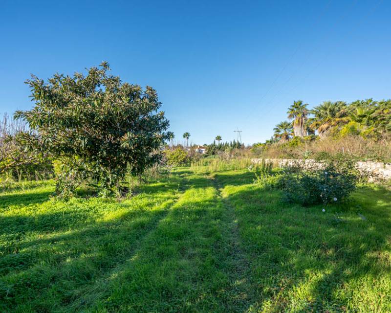 Plot in Javea