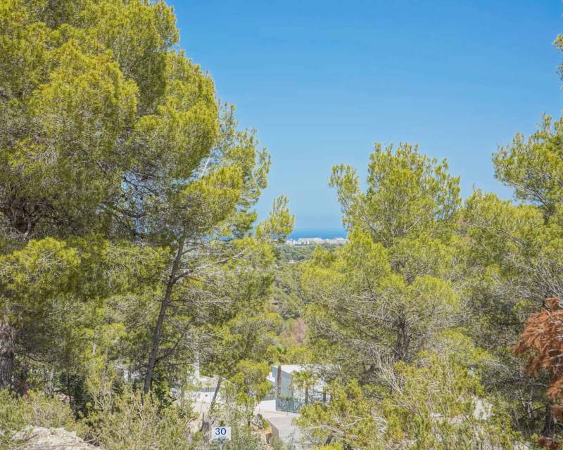 Plot in Javea